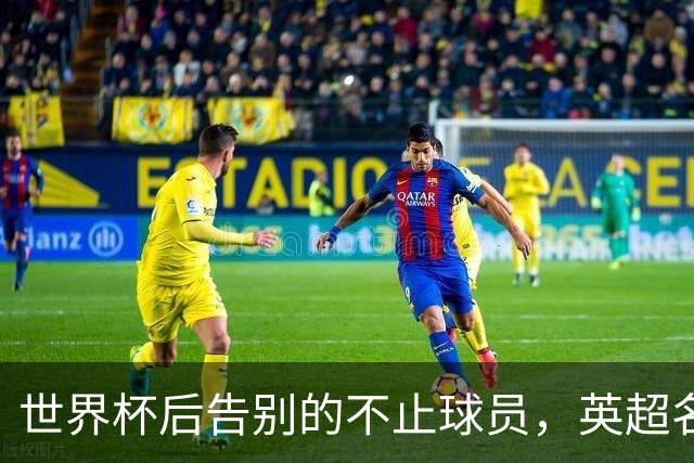 世界杯后告别的不止球员，英超名哨安东尼·泰勒宣布退役