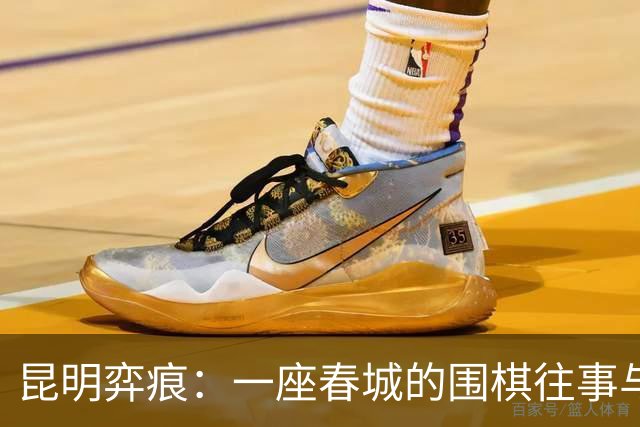 昆明弈痕：一座春城的围棋往事与求道新局